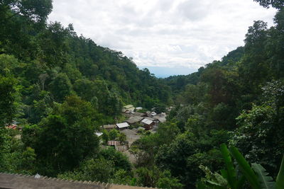 Trees and plants growing outside house in forest against sky