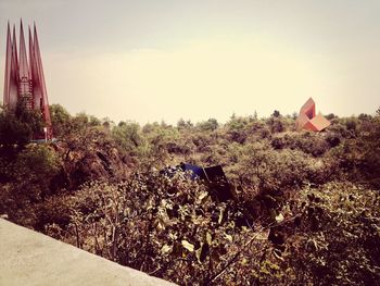 View of plants against the sky