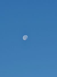 Low angle view of moon against clear blue sky
