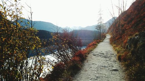 Road amidst plants against sky during autumn