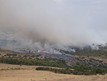 Burning mountains because of forest fire