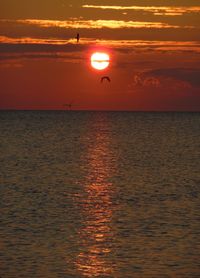 Scenic view of sea against orange sky