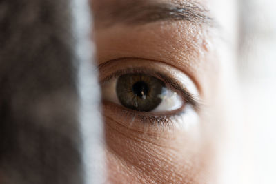 Close-up portrait of woman eye