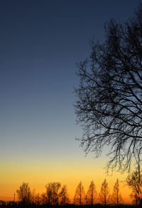 Low angle view of silhouette trees against sky during sunset