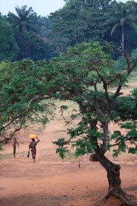 Man riding bicycle on street amidst trees