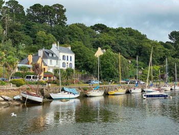 Sailboats moored on river by trees and buildings