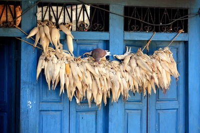 Corns drying on house door