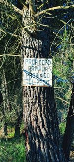 Information sign on tree trunk in forest