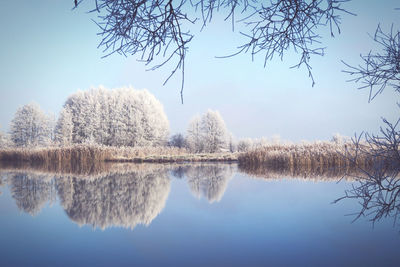 Reflection of trees in lake against clear sky