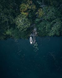 Aerial view of boat moored in lake at forest