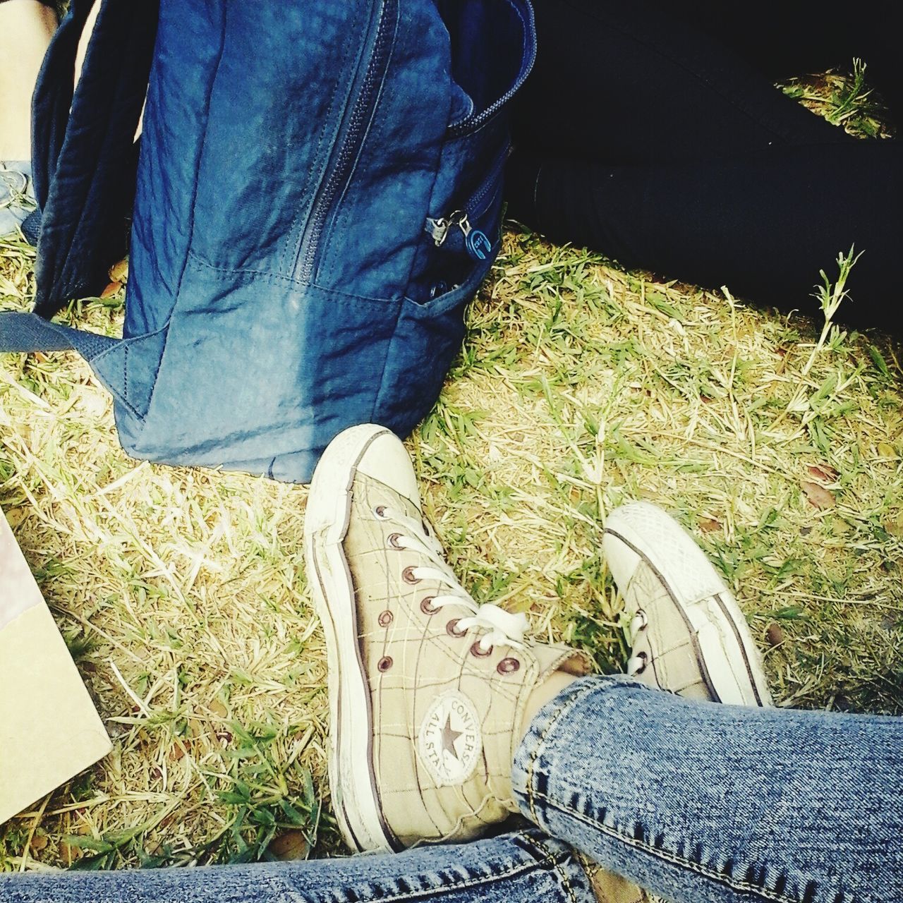 low section, grass, person, shoe, green color, one person, plant, field, grassy, high angle view, growth, sunlight, day, jeans, part of, personal perspective, footwear, outdoors, lawn