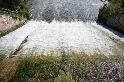 High angle view of footpath in park