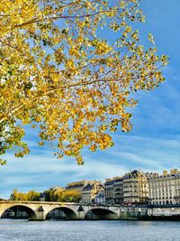 Arch bridge over river in city against sky