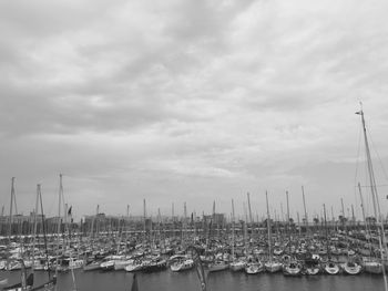 Sailboats moored in harbor