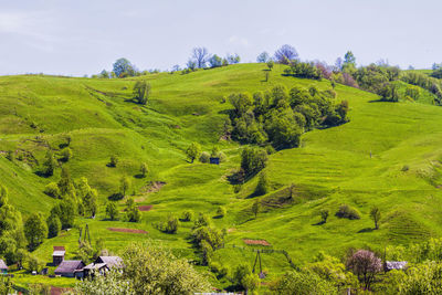 Scenic view of green landscape against sky