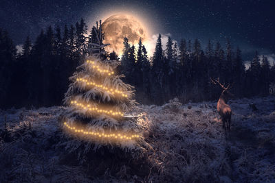 Rear view of reindeer standing by illuminated christmas tree on field against trees and sky
