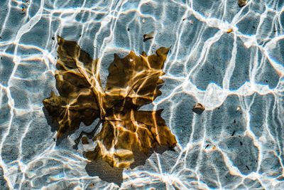 Full frame shot of swimming pool