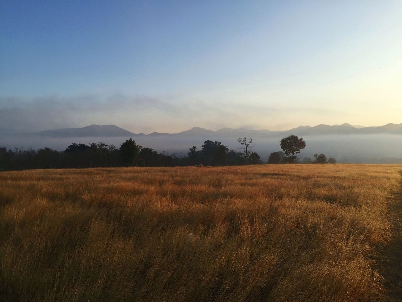 tranquil scene, landscape, tranquility, scenics, field, beauty in nature, nature, sky, grass, copy space, mountain, tree, non-urban scene, idyllic, horizon over land, rural scene, clear sky, growth, sunset, remote