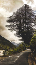 Empty road by trees against sky