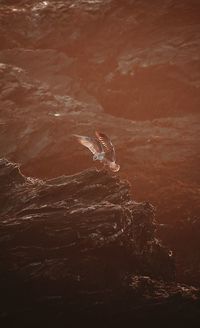 Close-up of water splashing on rock