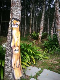 Close-up of lizard on tree trunk in forest