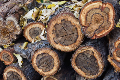 Full frame shot of firewood