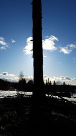 Scenic view of field against sky during winter