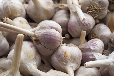 Close-up of garlic