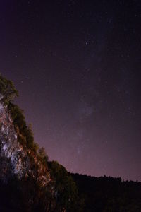 Low angle view of trees against sky at night