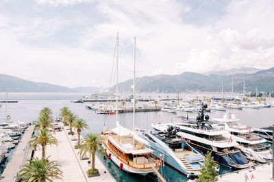 Boats moored at harbor