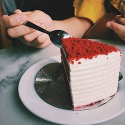 Midsection of person holding cake