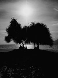 Silhouette tree on field by sea against sky