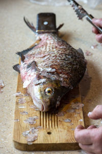 Bream fish on cutting board in the kitchen, close up.