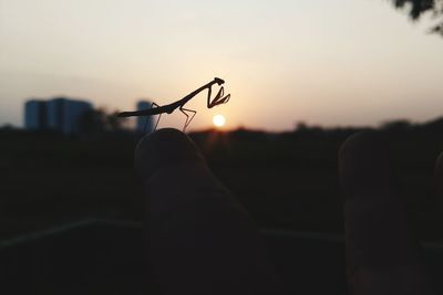 Low section of silhouette person against sky during sunset