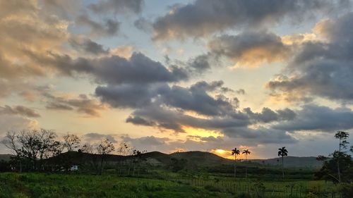 Scenic view of field against sky during sunset