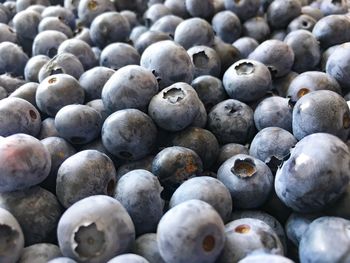 Full frame shot of blueberries