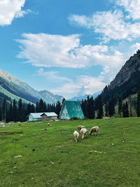 Scenic view of kashmir valleys, india
