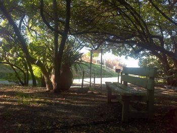 Empty bench in park