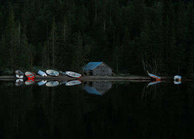 Boats moored on lake amidst trees in forest