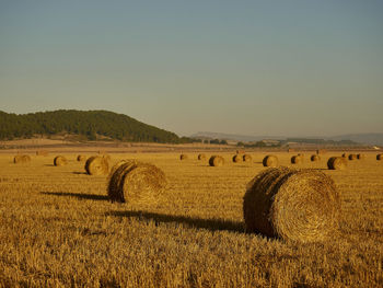 Hay bales on field against clear sky