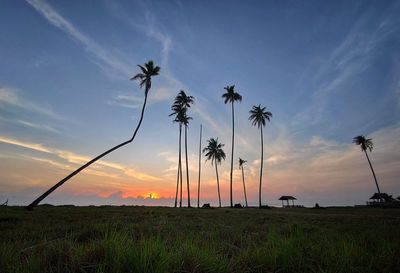 Silhouette palm trees on field against sky at sunset