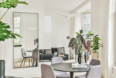 Potted plants on table at home