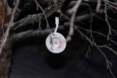 Close-up of hanging outdoors