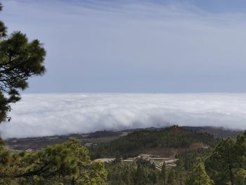 Scenic view of landscape against sky