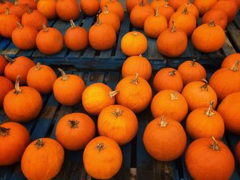 Pumpkins for sale at market