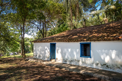 Built structure in forest