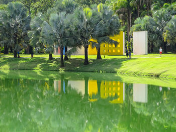 Scenic view of swimming pool in park