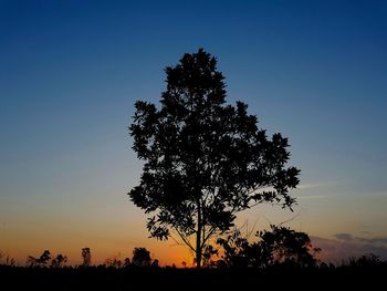 Silhouette tree against clear sky during sunset
