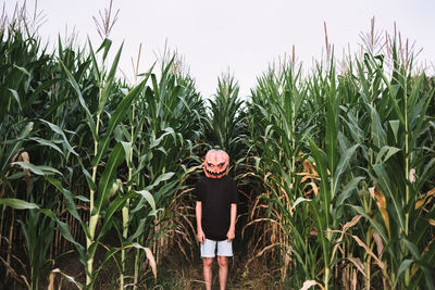 Man standing in field