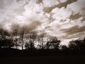 Bare trees on field against cloudy sky